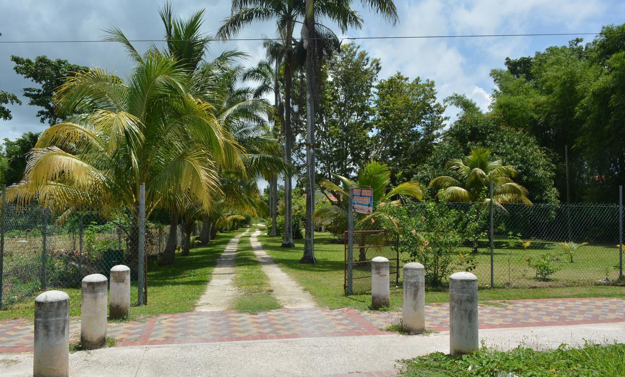 Cozy Coco Negril