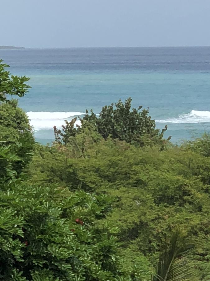 Scarlett Bull Bay