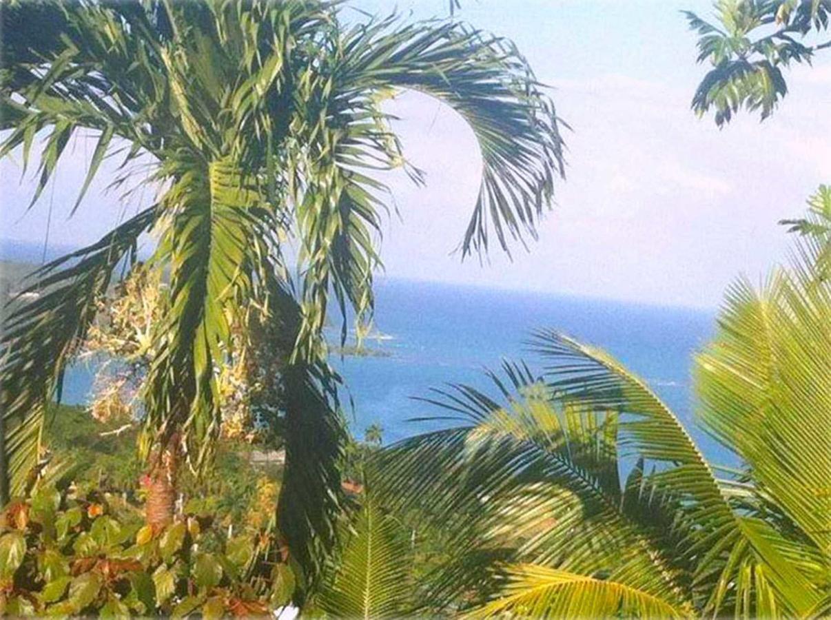 My-places Vacation Apartment Montego Bay