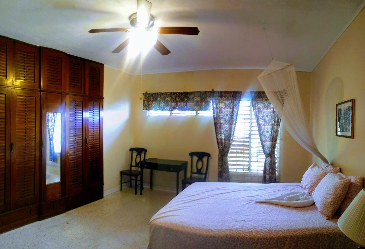 Jacks Hill Tropical Arcadia * Kingston