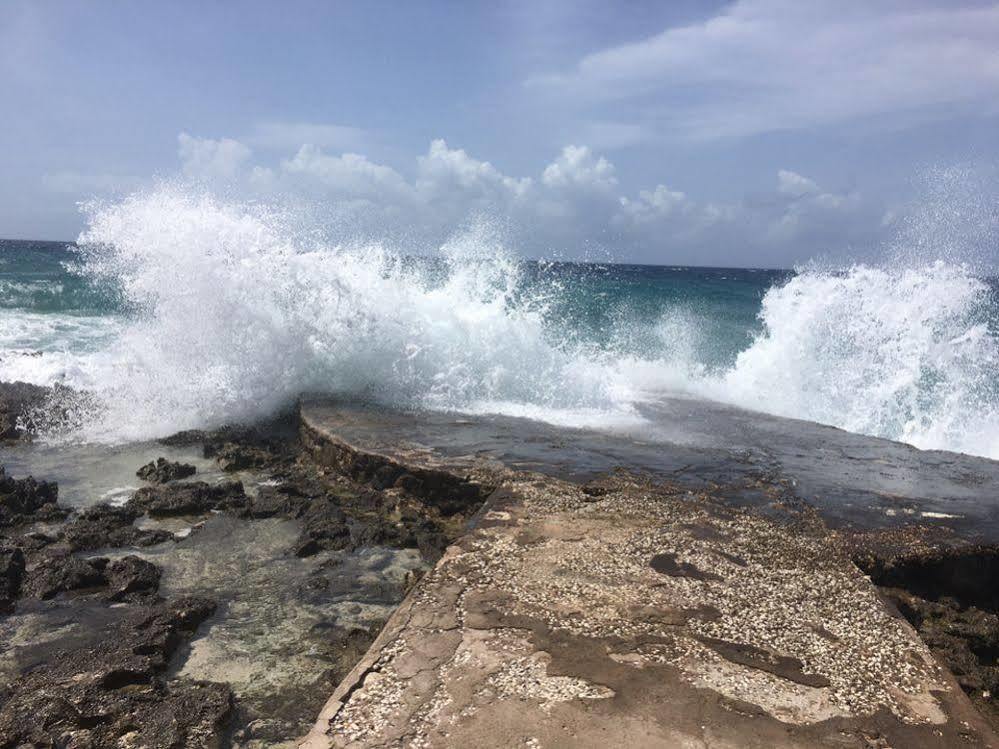 Jackies On The Reef Hotel Negril