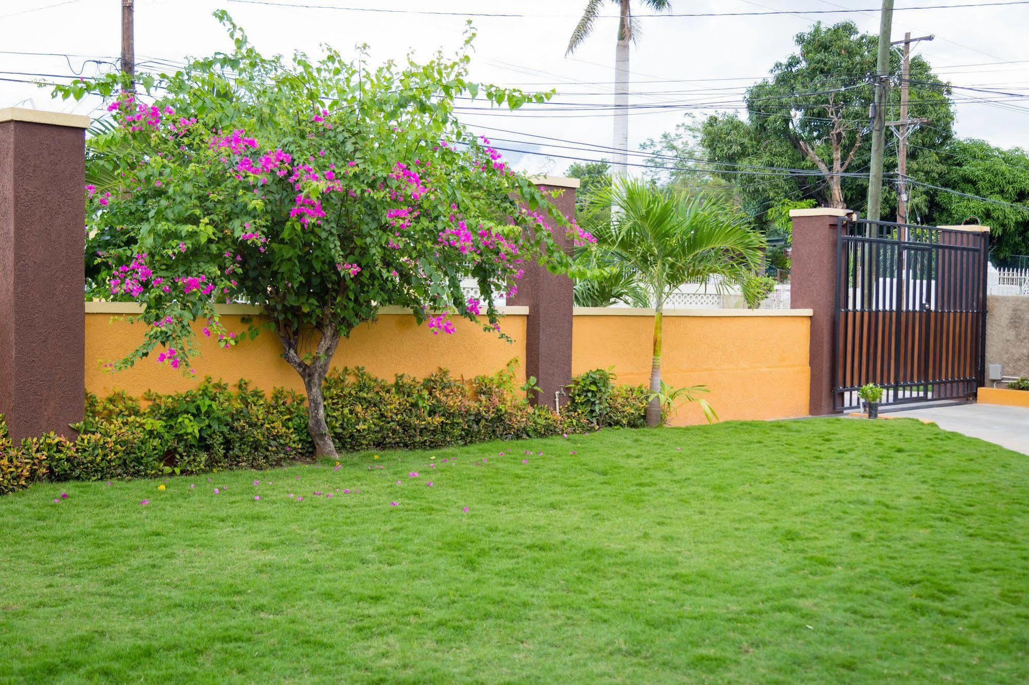 Centrally Located Guest Hotel Kingston
