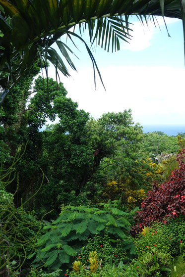 Mockingbird Hill Hotel Port Antonio