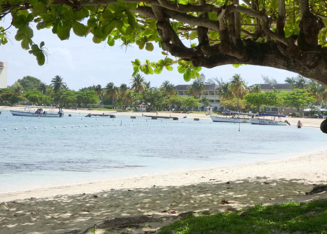 Aparthotel Beach One Bedroom C15