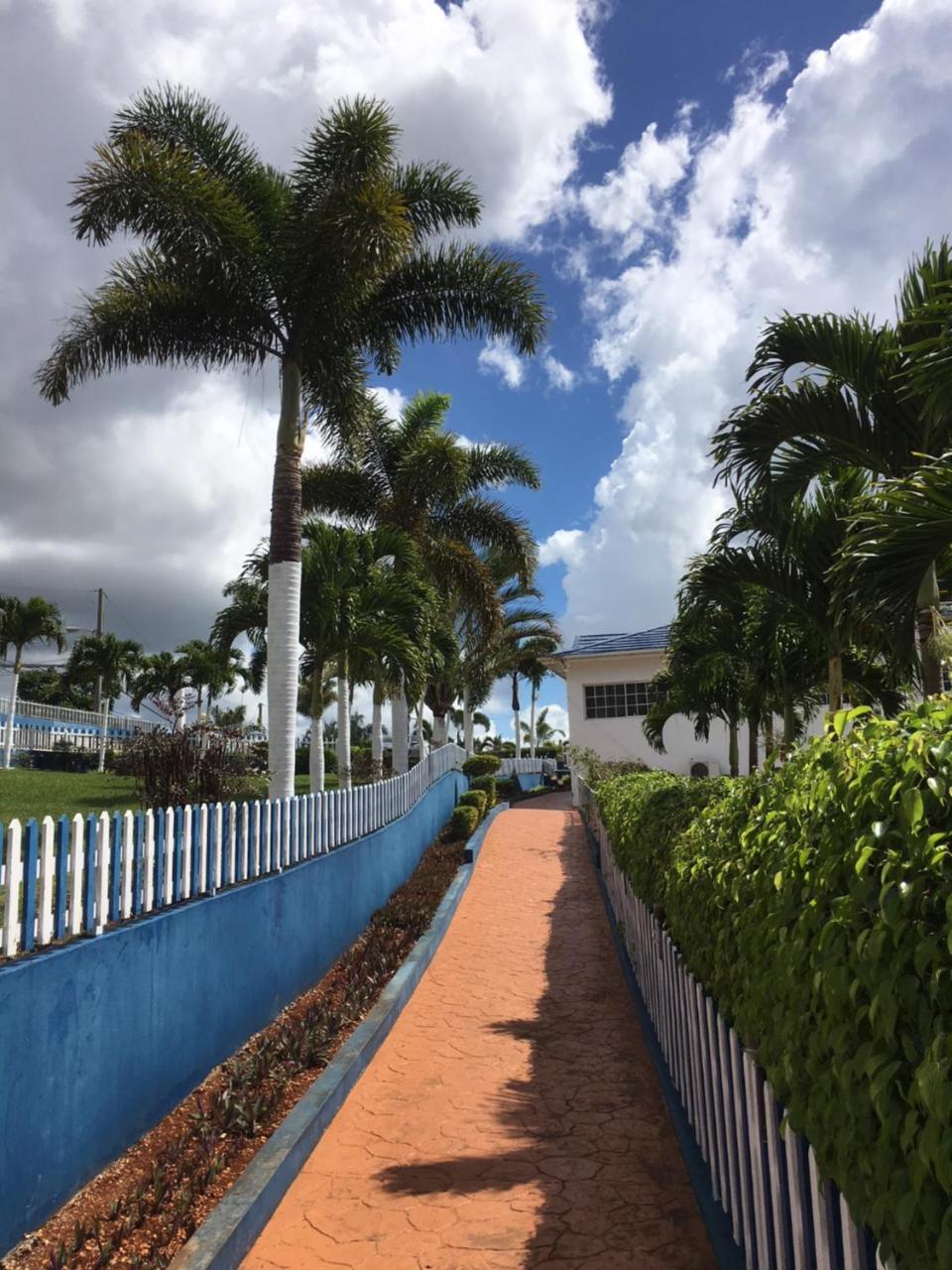 Tropics View Jamaica * Hatfield