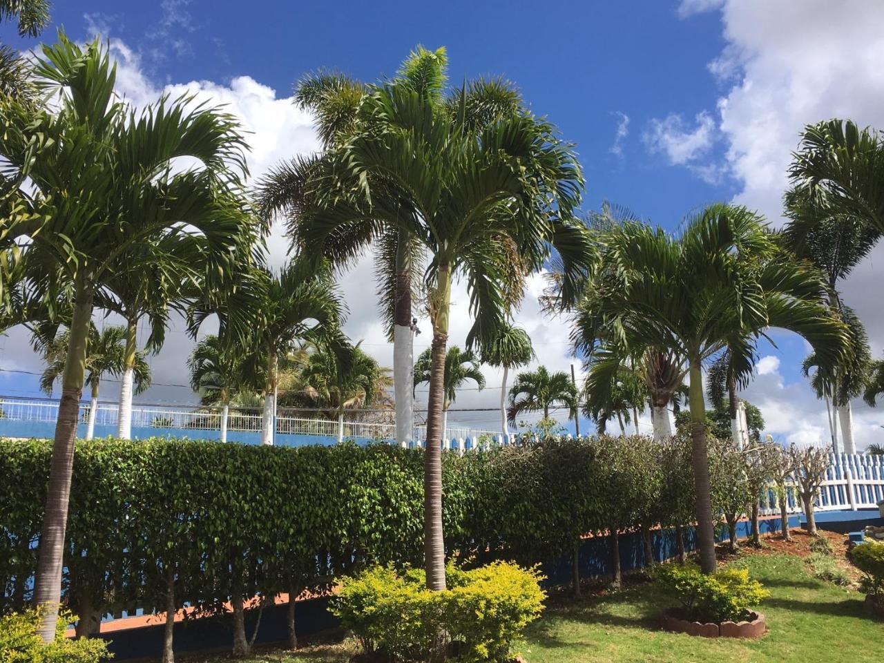 Tropics View Jamaica * Hatfield