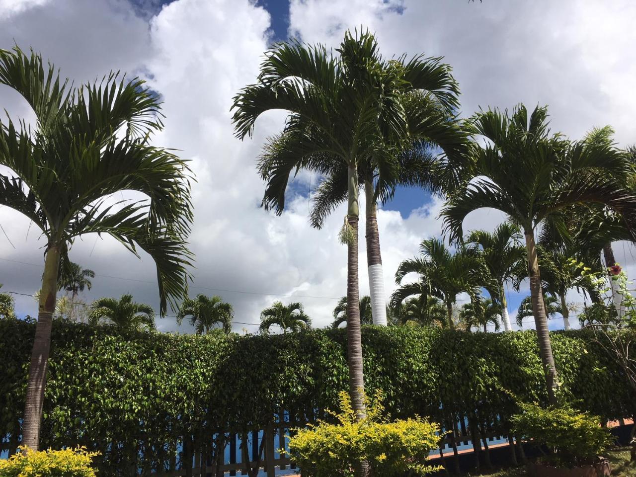 Tropics View Jamaica Hotel