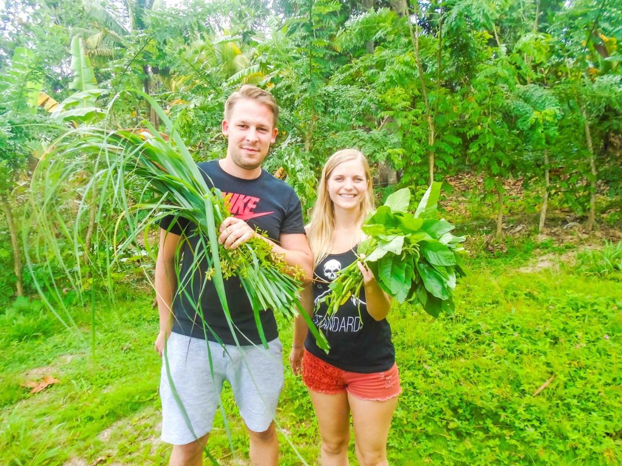 Joy's Eco And Wellness Center Bed & Breakfast