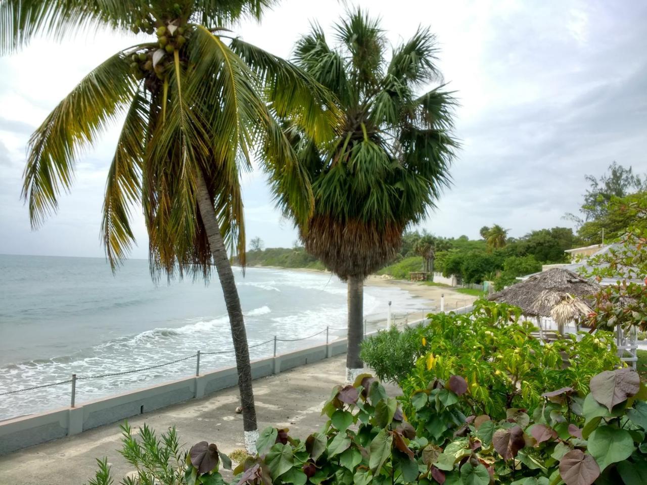 Golden Sands Guest house Treasure Beach
