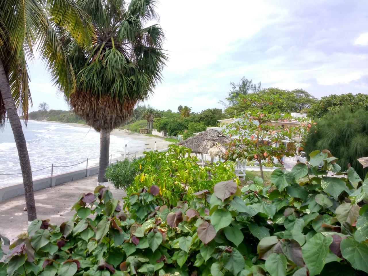 Guest house Golden Sands Treasure Beach