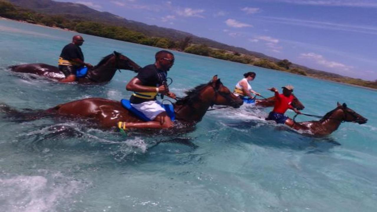 Bed & Breakfast Pen Hall Bnb Ocho Rios