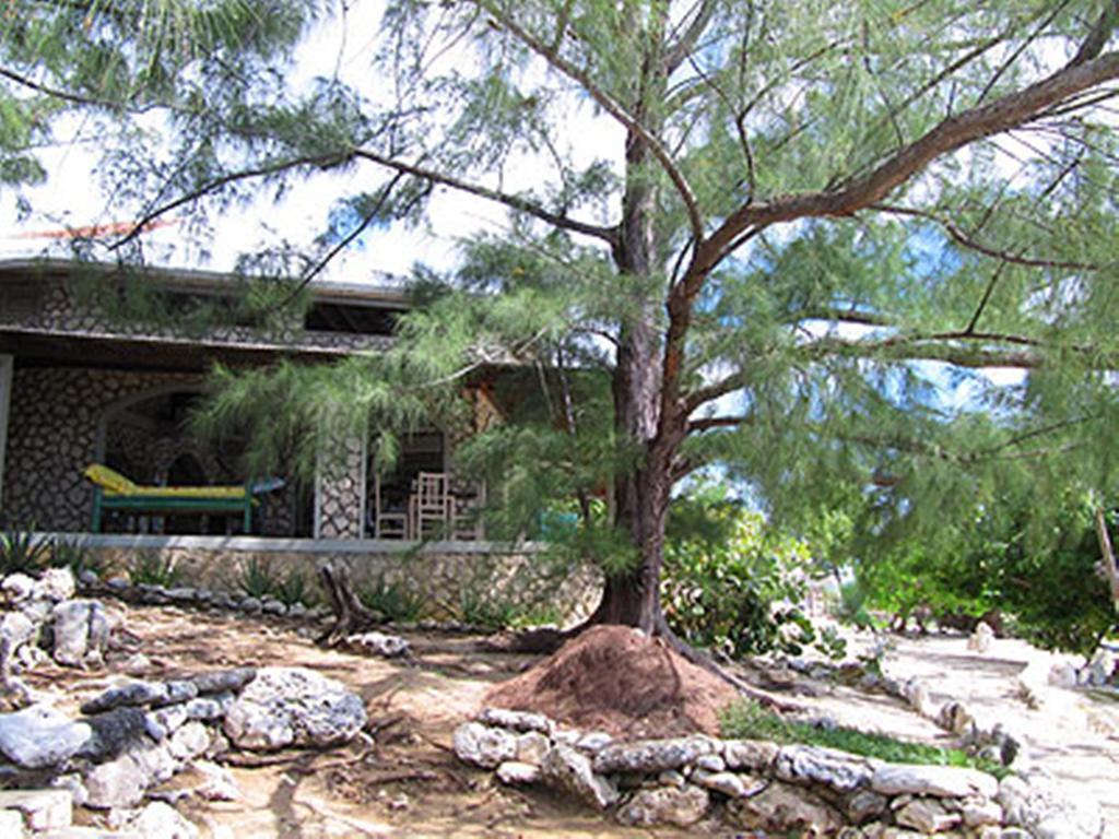 Jackies On The Reef Hotel Negril