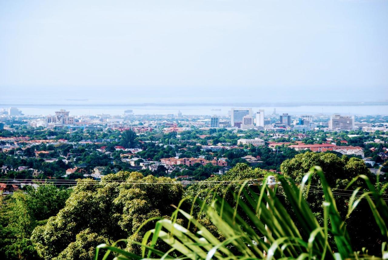 Jacks Hill Tropical Arcadia *