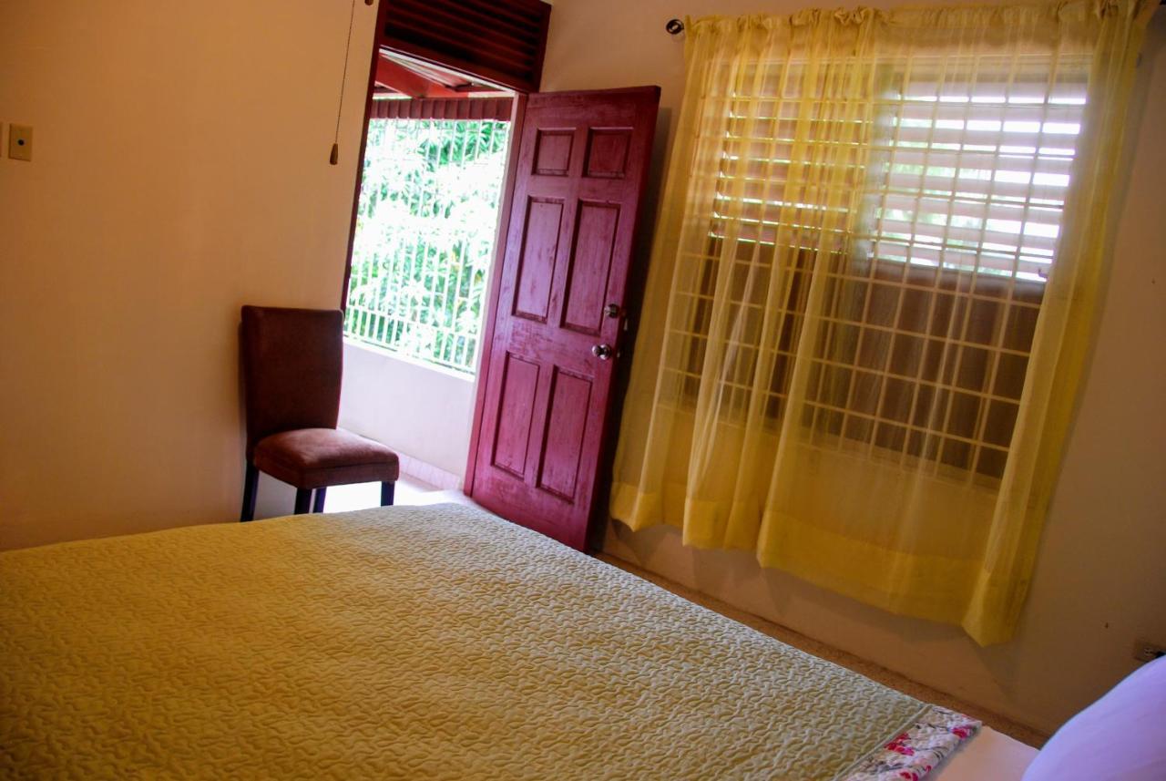 Inn Jacks Hill Tropical Arcadia *