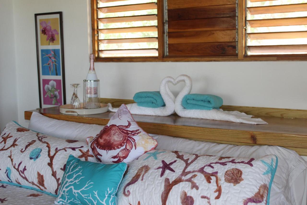Butterfly Hill Villa & Studio Apartment Treasure Beach