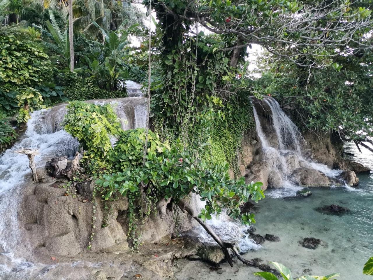 Reggae Hostel Ocho Rios