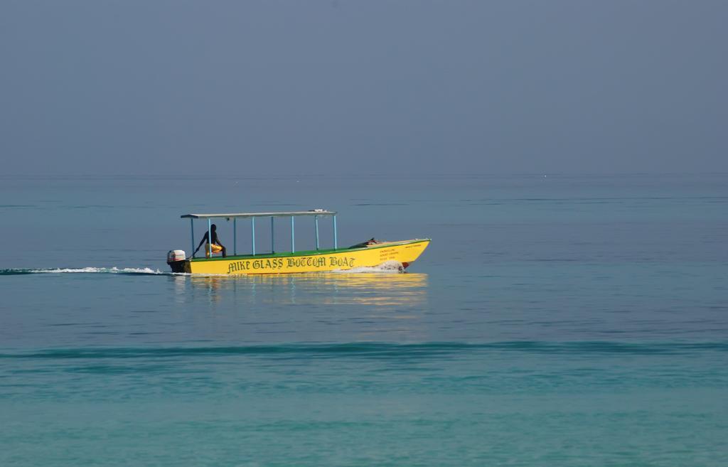 Coral Seas 2*