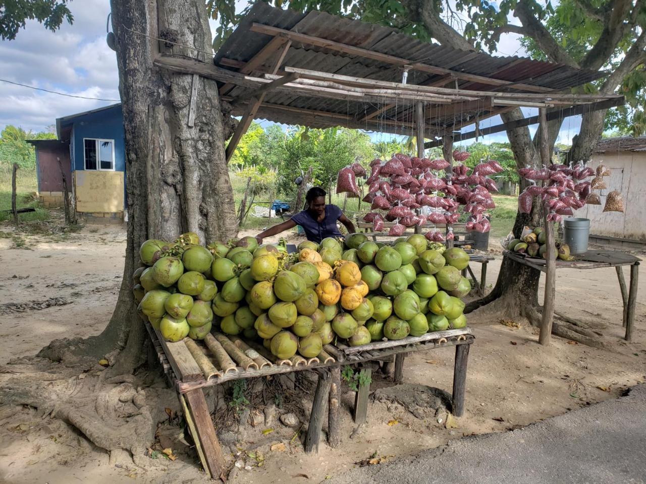 Hotel Wild Coffee Retreat Negril