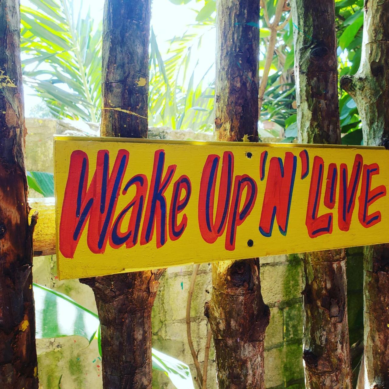 Wild Coffee Retreat 5*