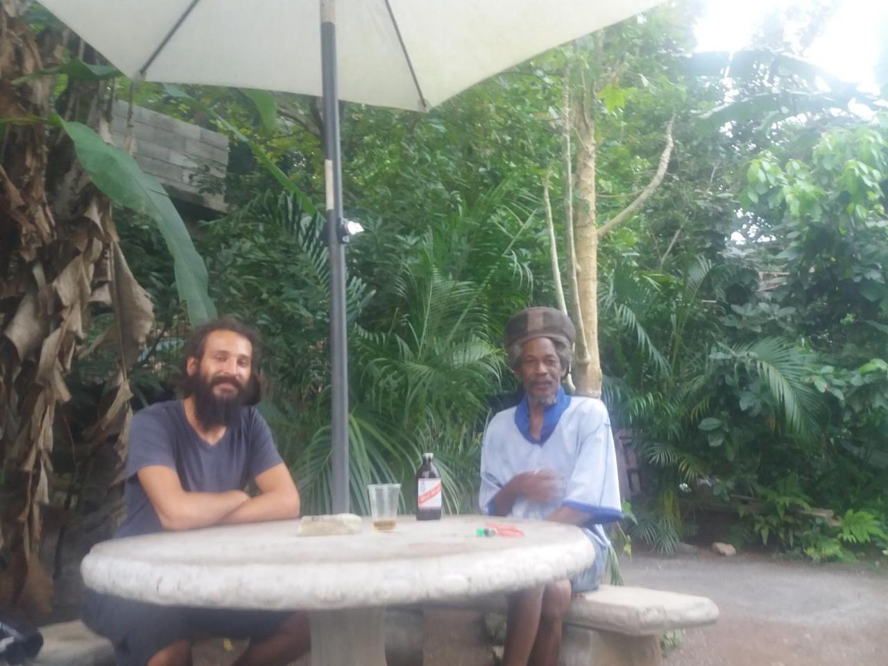 Jungle In Town Hostel