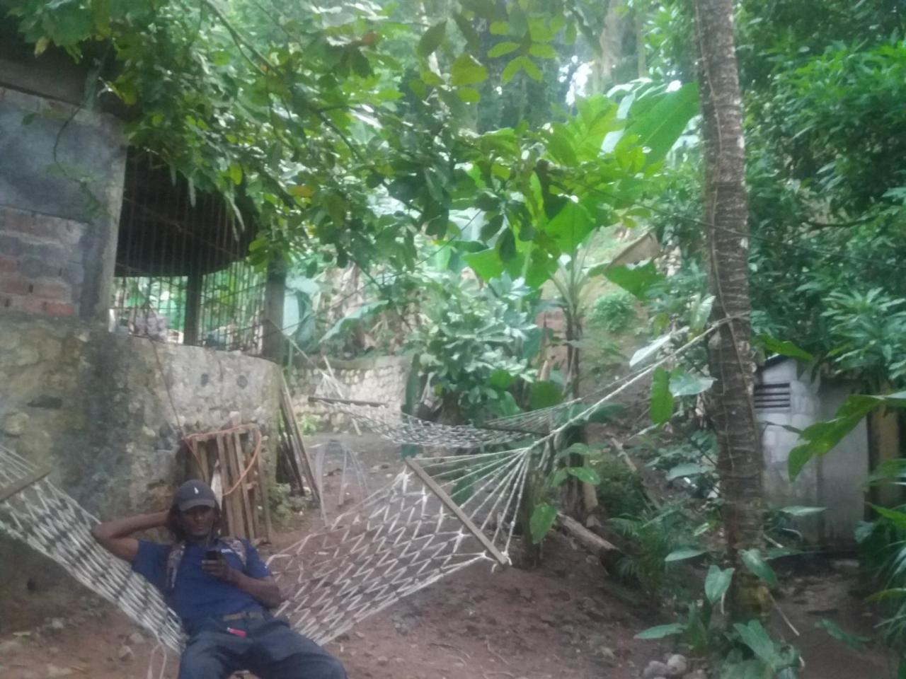 Jungle In Town Hostel *