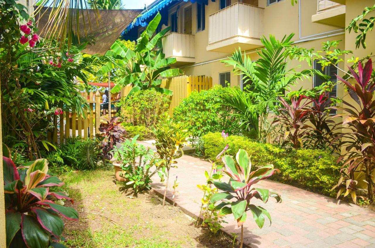 Hostel Reggae