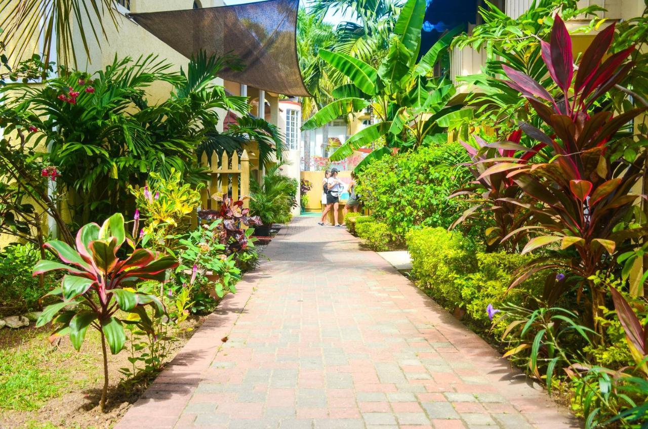 Reggae Hostel