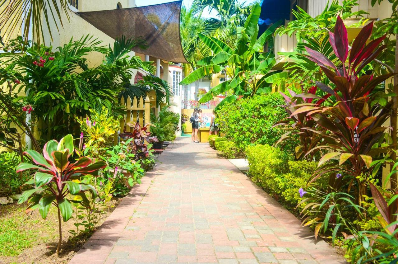 Reggae Hostel
