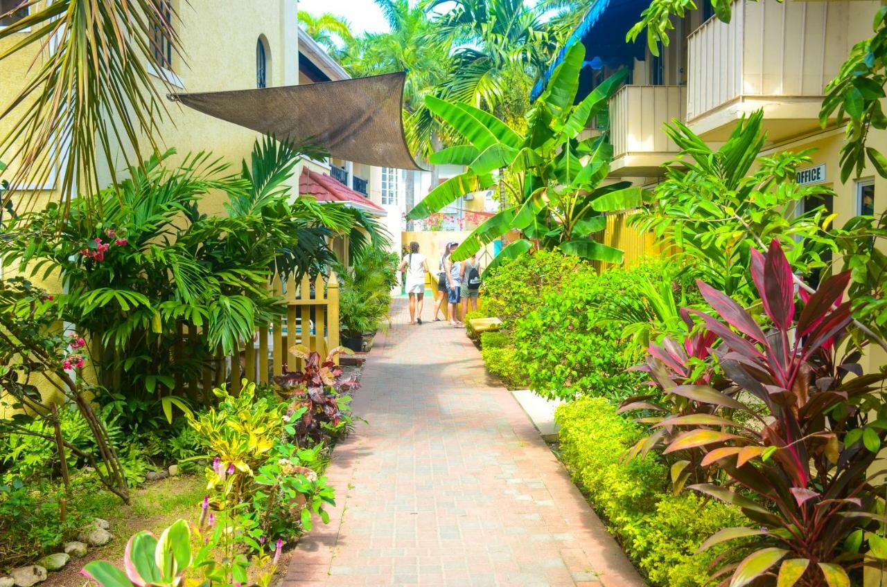 Reggae Hostel *