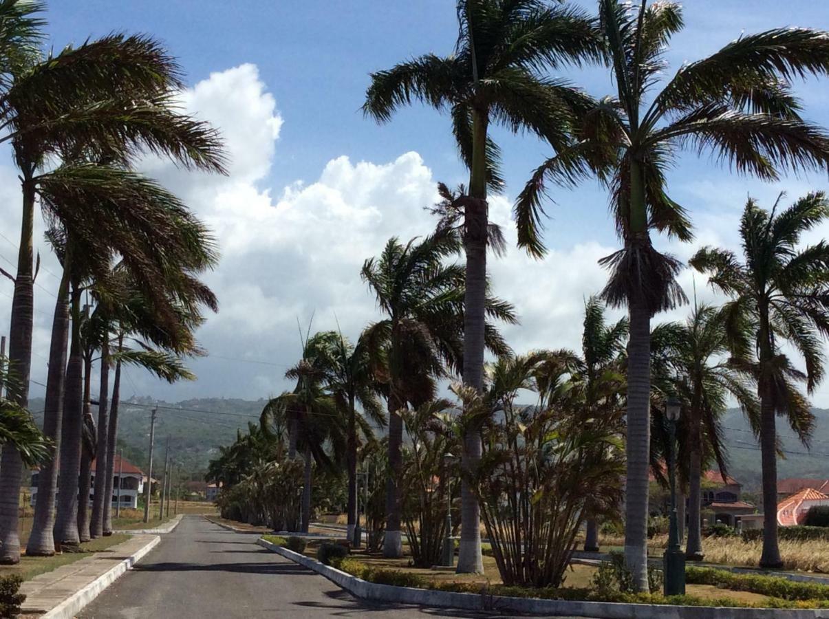 Jamaica Dream Gateway *