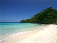 Hotel Paradise Turtle Towers Ocho Rios