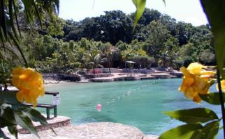 Hotel Paradise Turtle Towers