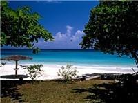 Paradise Turtle Towers Ocho Rios