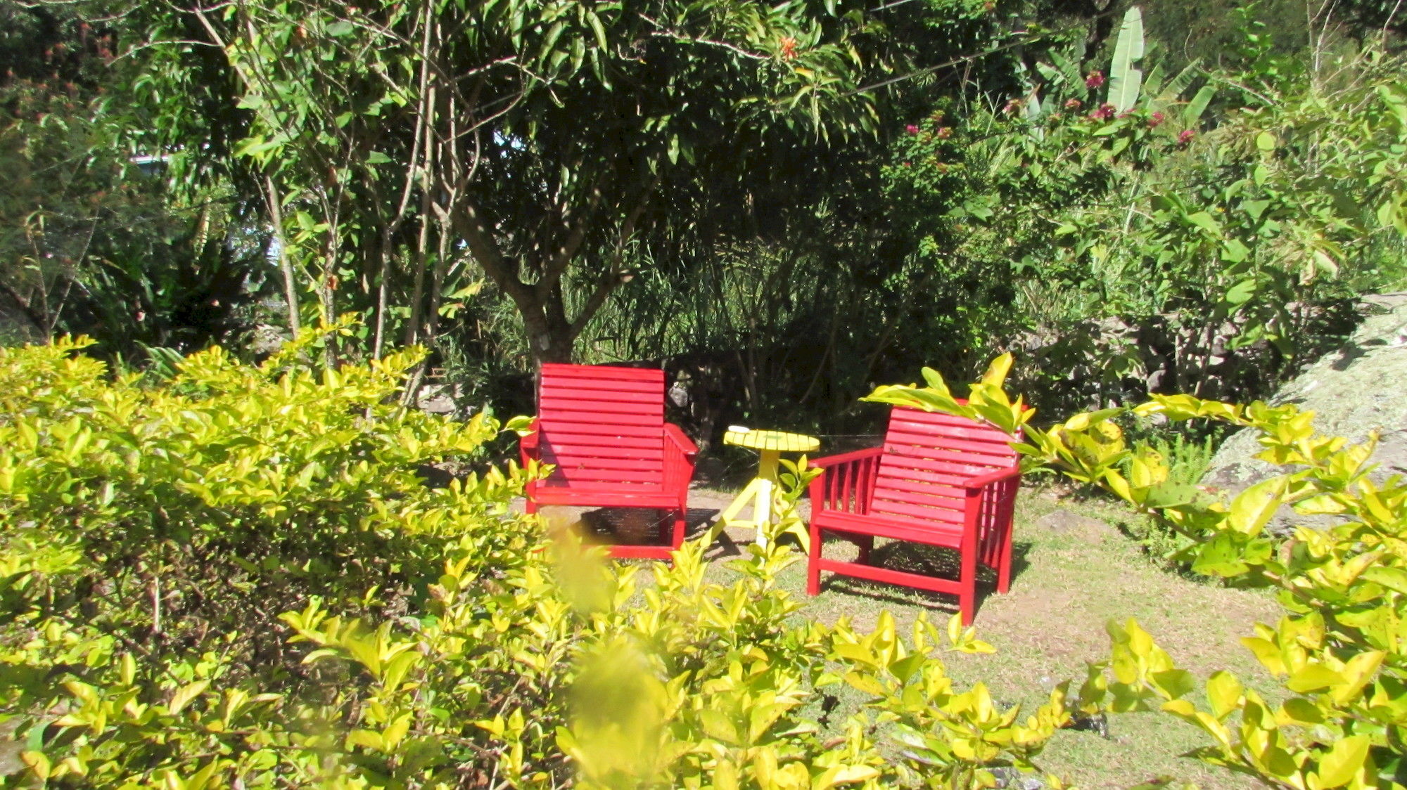 Rafjam Bed & Breakfast Kingston