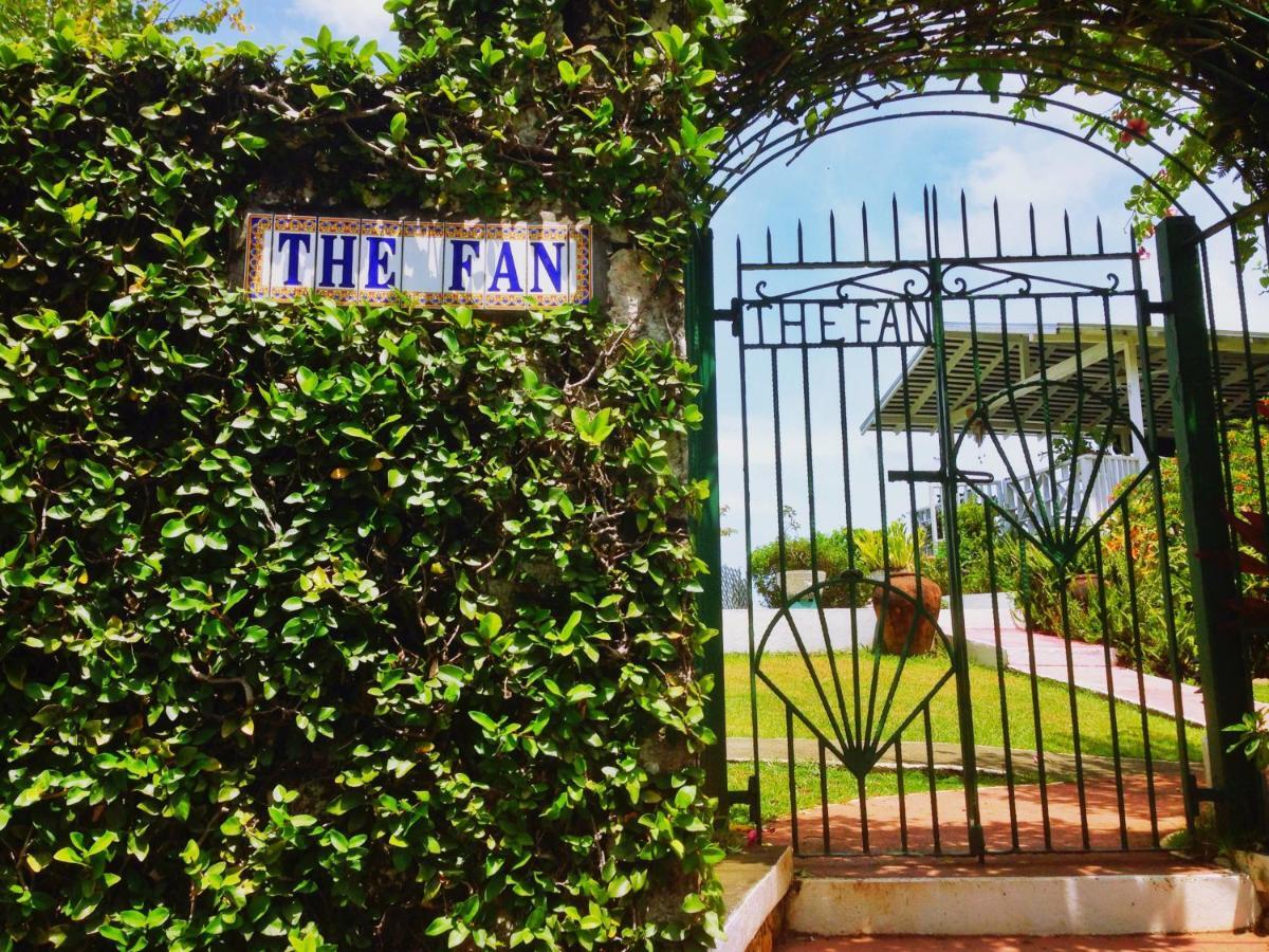 The Fan *