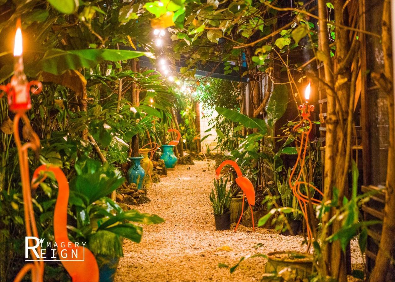 Wild Coffee Retreat Negril