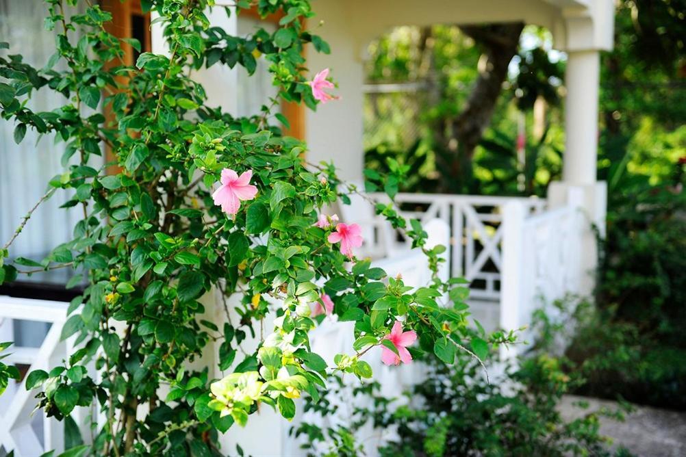 Coral Seas Hotel Negril