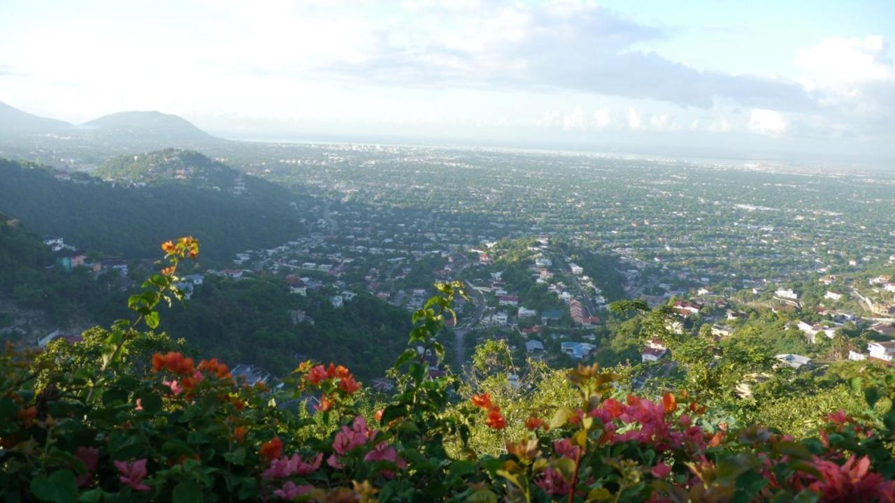 Bed & Breakfast City View Kingston