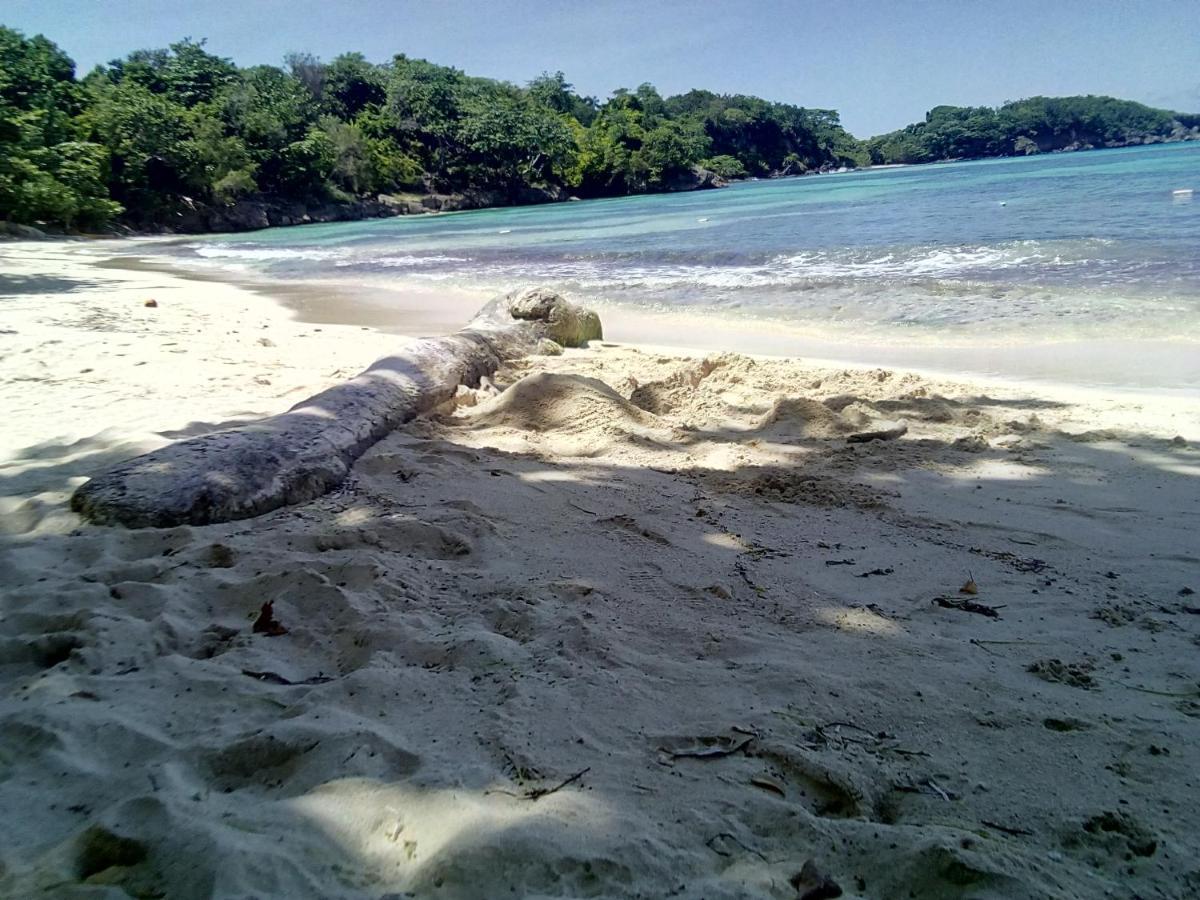 Albergue Porty *