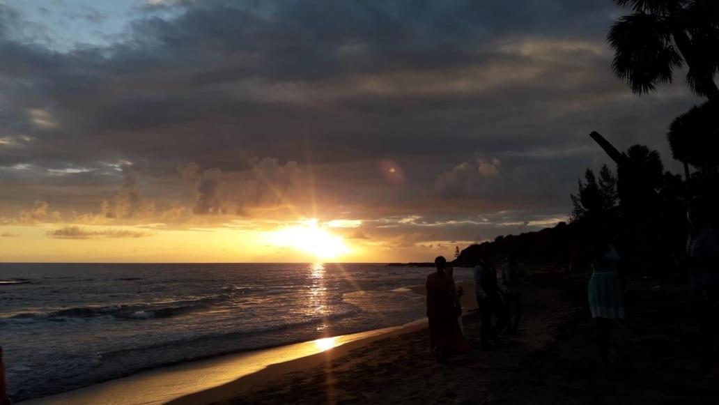 Brytan * Treasure Beach