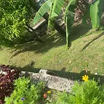 Angelaspalace