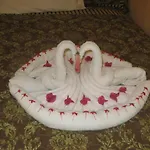 Executive Shaw Park Guest House
