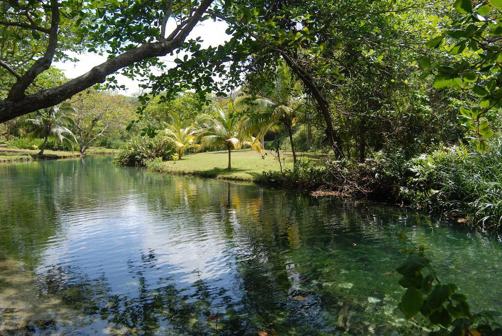 Bonne Amie Villa Drapers
