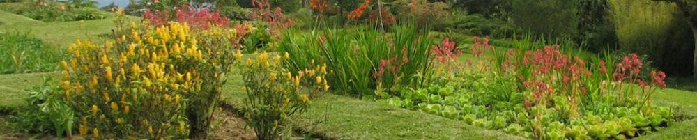 Forres Park Kingston