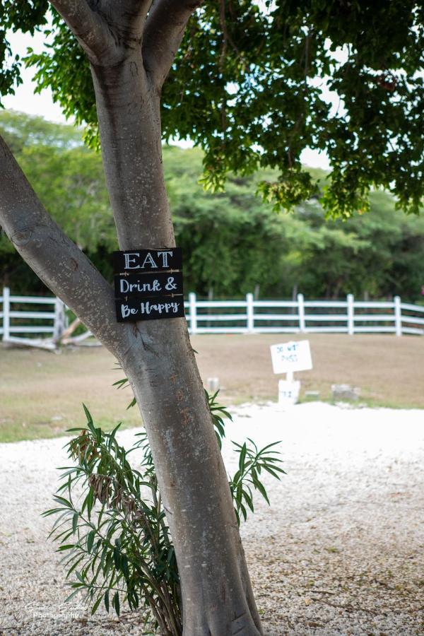 Bed & Breakfast And Bar *