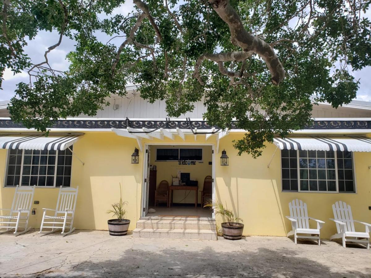 Bed & Breakfast And Bar Treasure Beach