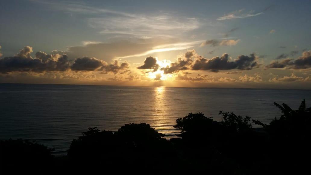 Rasta - Ocean View Bungalows Guest house Port Antonio