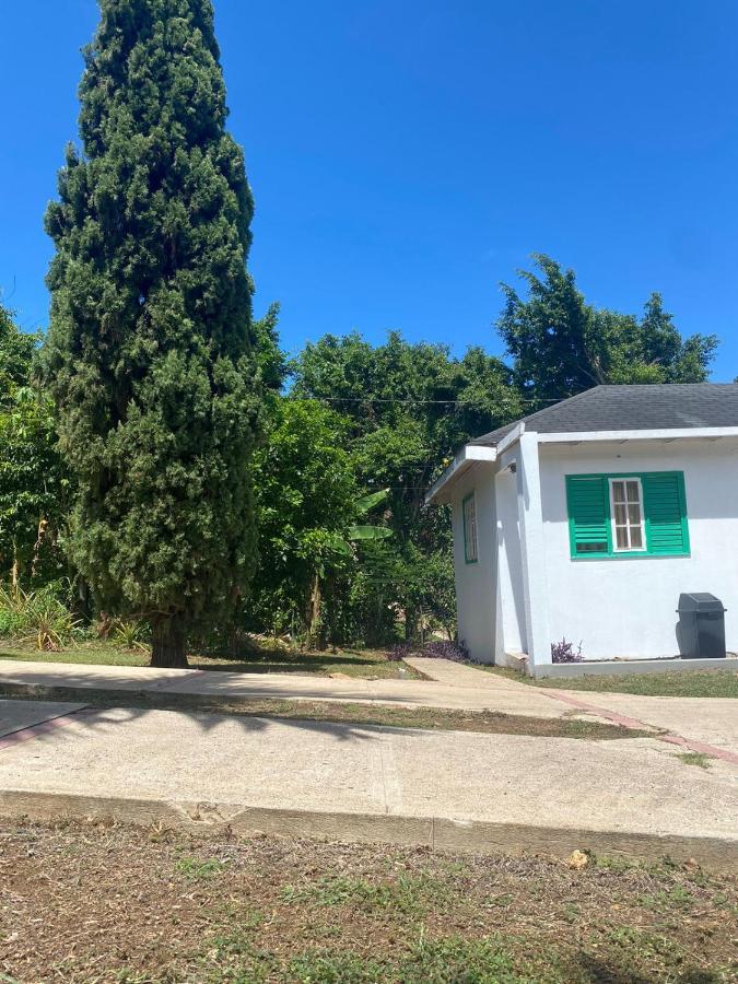 Guest house Lachemar Ocho Rios