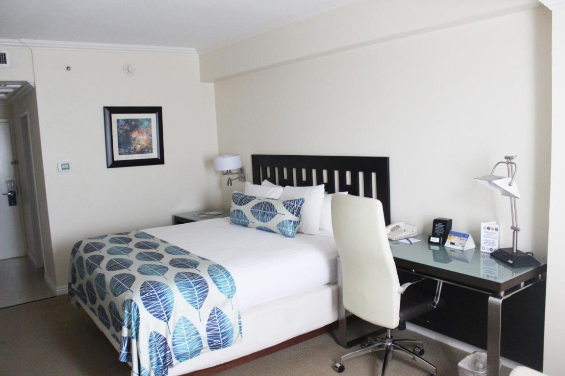 The Jamaica Pegasus 5*