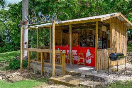 Inn Hospitality Expert Mr X - Tour Pool Bar Montego Bay